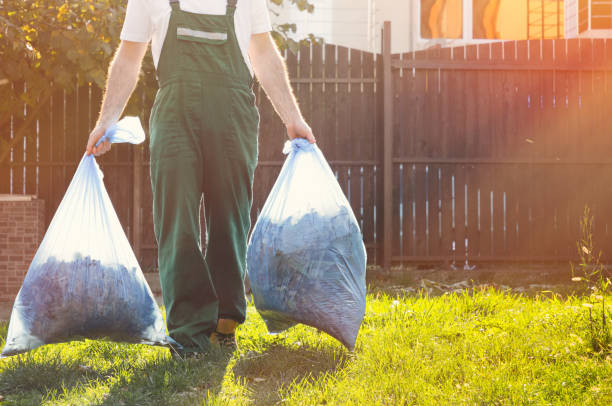 Best Estate Cleanout Services  in Allen Park, MI