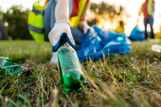 Best Yard Cleanup Services  in Allen Park, MI
